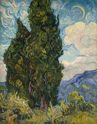 Cypresses (Vincent van Gogh) - Muzeo.com