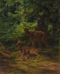 Deer in Repose (Rosa Bonheur) - Muzeo.com