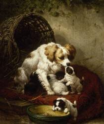 Die glückliche Familie (Henriette Ronner-Knip) - Muzeo.com