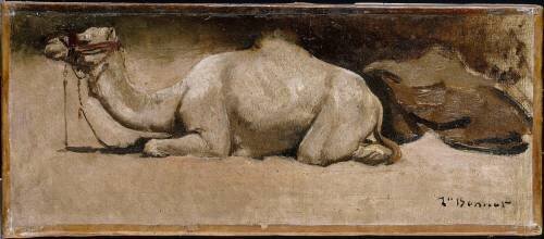 Dromadaire accroupi (Léon Bonnat) - Muzeo.com