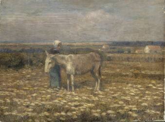 Âne au pré (Marie Duhem) - Muzeo.com