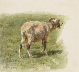 Etude de bélier (Rosa Bonheur) - Muzeo.com