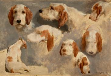 Etude de chien de chasse ; 8 esquisses (Rosa Bonheur) - Muzeo.com