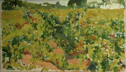 Etude de vignoble (Joaquin Sorolla y Bastida) - Muzeo.com