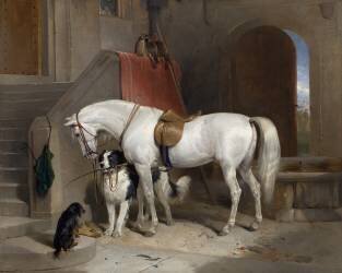 Favourites (Edwin Landseer) - Muzeo.com