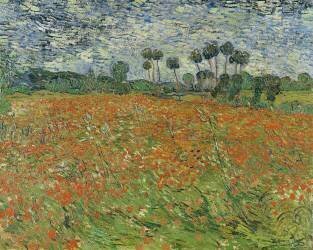Field of Poppies (Vincent van Gogh) - Muzeo.com