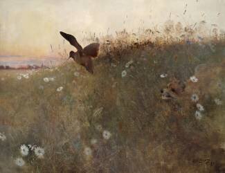 Fox and woodcock (Bruno Liljefors) - Muzeo.com