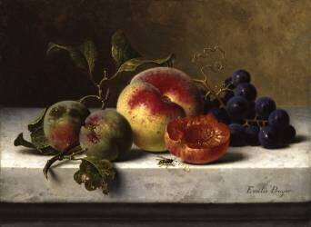 Früchtestillleben (Emilie Preyer) - Muzeo.com