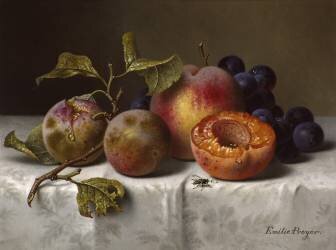 Früchtestillleben (Emilie Preyer) - Muzeo.com