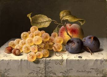 Früchtestillleben (Emilie Preyer) - Muzeo.com