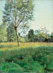 Golden Meadow (Ferdinand Hodler) - Muzeo.com
