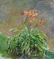 Hemerocallis (Claude Monet) - Muzeo.com
