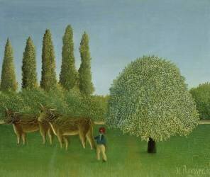 In the Fields (Henri Rousseau) - Muzeo.com