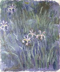 Iris (Claude Monet) - Muzeo.com