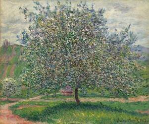 Le Pommier (Claude Monet) - Muzeo.com
