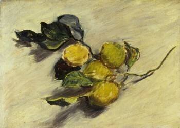 Lemon Tree Branch (Claude Monet) - Muzeo.com