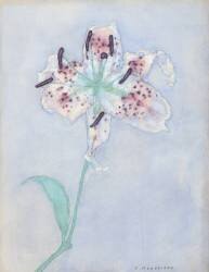 Lily (Piet Mondrian) - Muzeo.com