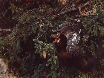 Marten and blackcock (Bruno Liljefors) - Muzeo.com