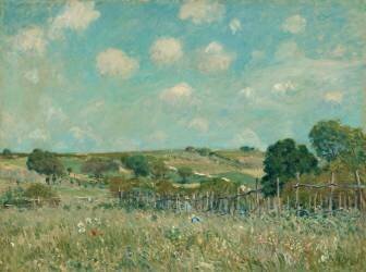Meadow (Alfred Sisley) - Muzeo.com