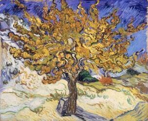 Mulberry Tree (Vincent van Gogh) - Muzeo.com