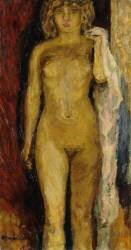 Nude (Pierre Bonnard) - Muzeo.com