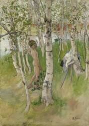 Nude Boy among Birches (Carl Larsson) - Muzeo.com