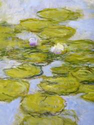 Nympheas (Claude Monet) - Muzeo.com
