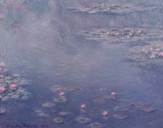 Nympheas (Claude Monet) - Muzeo.com