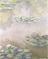 Nympheas (Claude Monet) - Muzeo.com