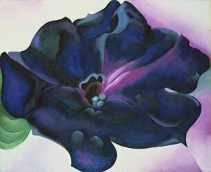 Petunia, 1925 (Georgia O'Keeffe) - Muzeo.com