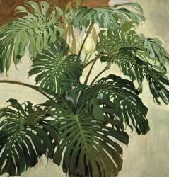 Philodendron (Nestor de la Torre) - Muzeo.com