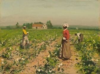 Picking Cotton (Gilbert Gaul) - Muzeo.com