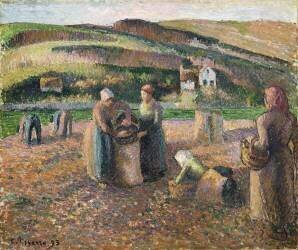 Picking Potatoes (Camille Pissarro) - Muzeo.com