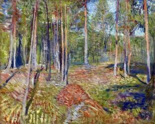 Pine Forest (Edvard Munch) - Muzeo.com