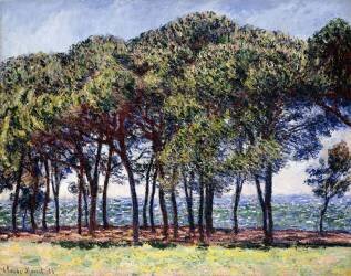 Pines (Claude Monet) - Muzeo.com