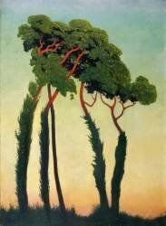 Pins parasols (Félix Vallotton) - Muzeo.com