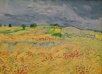 Plain at Auvers (Vincent van Gogh) - Muzeo.com