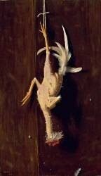 Plucked Clean (William Michael Harnett) - Muzeo.com