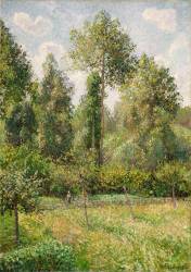 Poplars (Camille Pissarro) - Muzeo.com