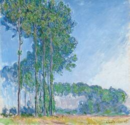 Poplars (Claude Monet) - Muzeo.com