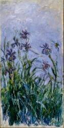 Purple Irises (Claude Monet) - Muzeo.com