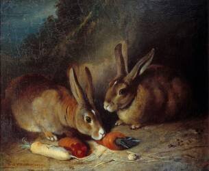 Rabbits (Rosa Bonheur) - Muzeo.com