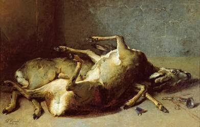 Roe Deer (Guillaume Fouace) - Muzeo.com