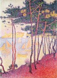 Sailing boats and Pine Trees (Paul Signac) - Muzeo.com
