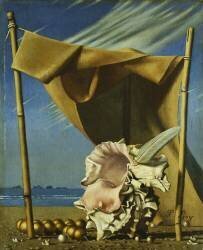 Shell and Drape (Pierre Roy) - Muzeo.com