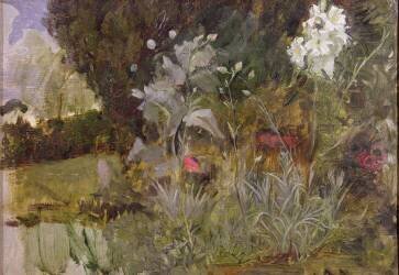 Study of Flowers and Foliage (John William Waterhouse) - Muzeo.com