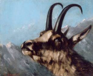 Tête de chamois (Gustave Courbet) - Muzeo.com