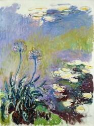 The Agapanthus (Claude Monet) - Muzeo.com