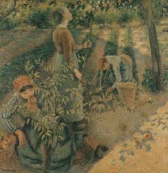 The Apple Pickers (Camille Pissarro) - Muzeo.com