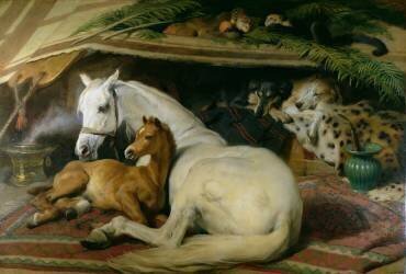 The Arab Tent (Edwin Landseer) - Muzeo.com